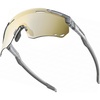 A6 - Photochromic Gold Lens | Glossy Grey Frame